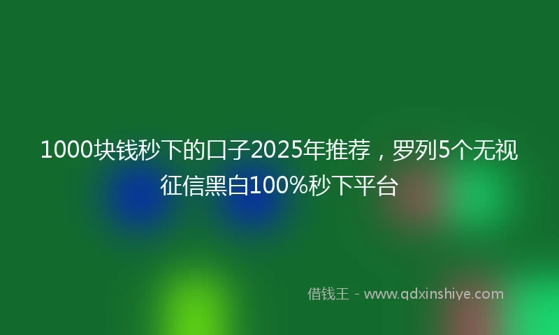 1000块钱秒下的口子2025年推荐，罗列5个无视征信黑白100%秒下平台