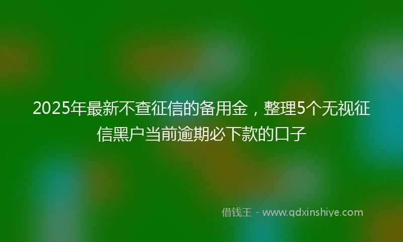 2025年最新不查征信的备用金，整理5个无视征信黑户当前逾期必下款的口子