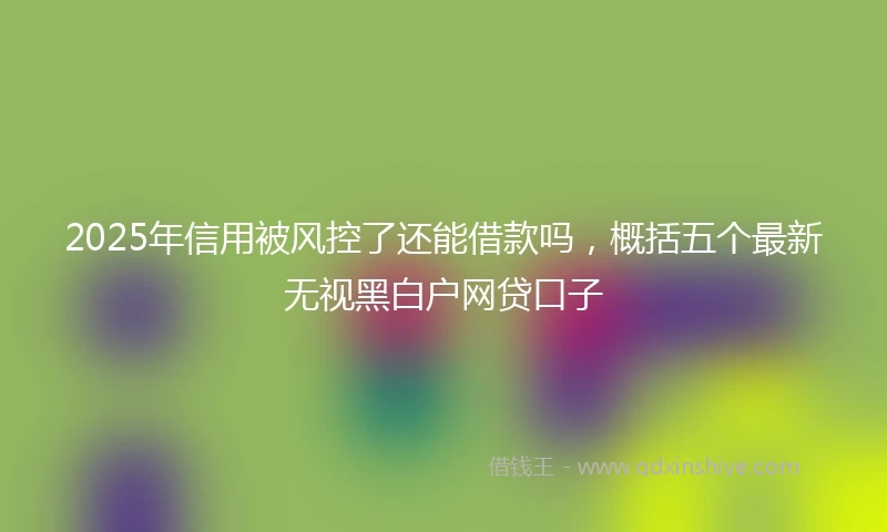 2025年信用被风控了还能借款吗，概括五个最新无视黑白户网贷口子