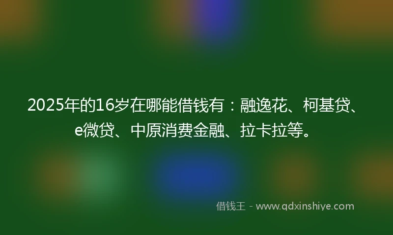 2025年的16岁在哪能借钱有：融逸花、柯基贷、e微贷、中原消费金融、拉卡拉等。
