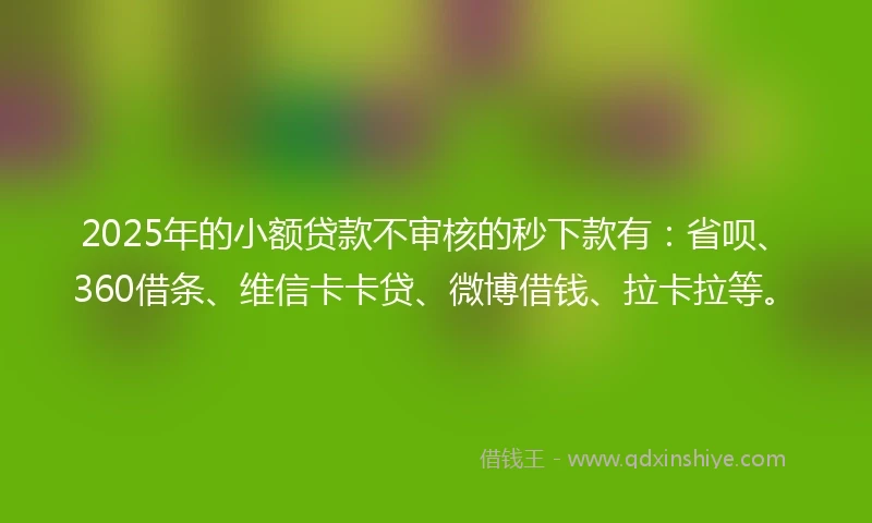 2025年的小额贷款不审核的秒下款有：省呗、360借条、维信卡卡贷、微博借钱、拉卡拉等。