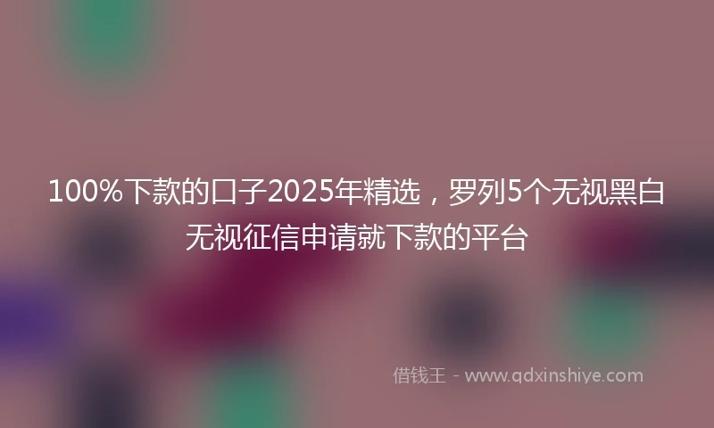 100%下款的口子2025年精选，罗列5个无视黑白无视征信申请就下款的平台