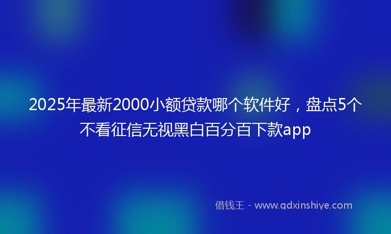 2025年最新2000小额贷款哪个软件好，盘点5个不看征信无视黑白百分百下款app