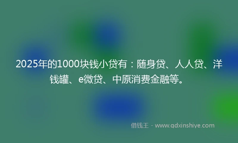 2025年的1000块钱小贷有：随身贷、人人贷、洋钱罐、e微贷、中原消费金融等。