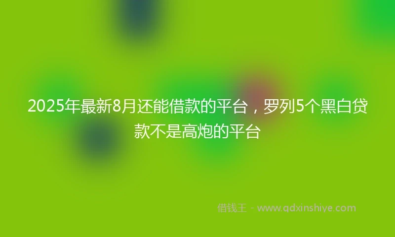 2025年最新8月还能借款的平台，罗列5个黑白贷款不是高炮的平台