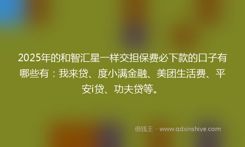 2025年的和智汇星一样交担保费必下款的口子有哪些有：我来贷、度小满金融、美团生活费、平安i贷、功夫贷等。
