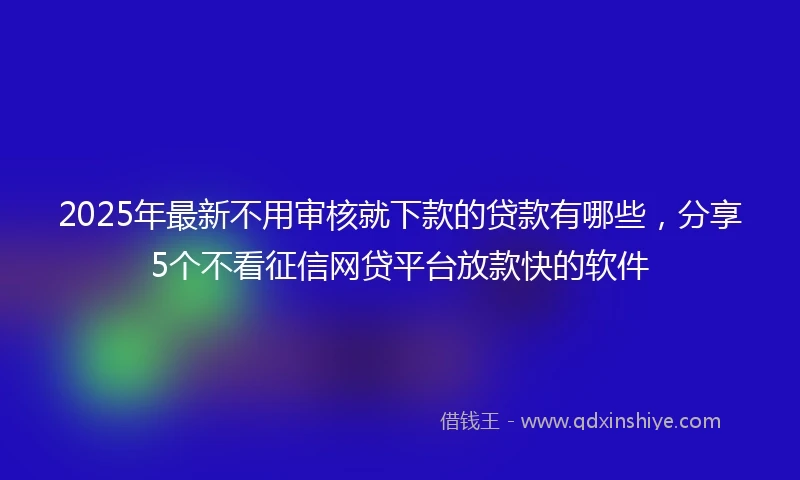 2025年最新不用审核就下款的贷款有哪些，分享5个不看征信网贷平台放款快的软件