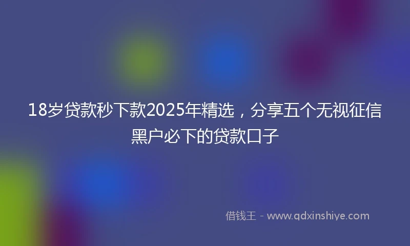 18岁贷款秒下款2025年精选，分享五个无视征信黑户必下的贷款口子
