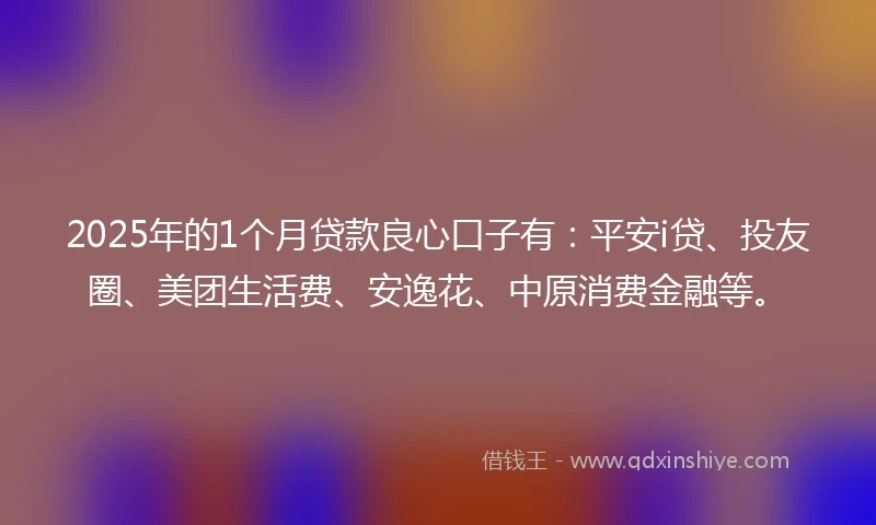 2025年的1个月贷款良心口子有：平安i贷、投友圈、美团生活费、安逸花、中原消费金融等。