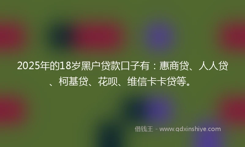 2025年的18岁黑户贷款口子有：惠商贷、人人贷、柯基贷、花呗、维信卡卡贷等。