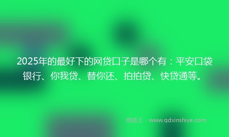 2025年的最好下的网贷口子是哪个有：平安口袋银行、你我贷、替你还、拍拍贷、快贷通等。