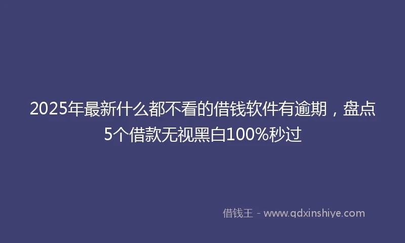2025年最新什么都不看的借钱软件有逾期，盘点5个借款无视黑白100%秒过