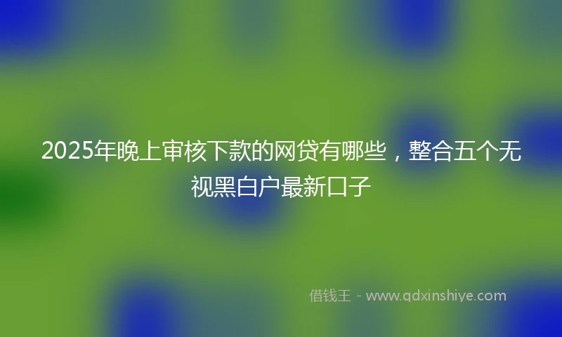 2025年晚上审核下款的网贷有哪些，整合五个无视黑白户最新口子