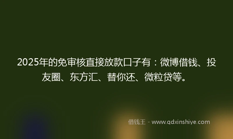 2025年的免审核直接放款口子有：微博借钱、投友圈、东方汇、替你还、微粒贷等。