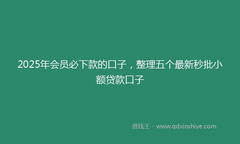 2025年会员必下款的口子，整理五个最新秒批小额贷款口子