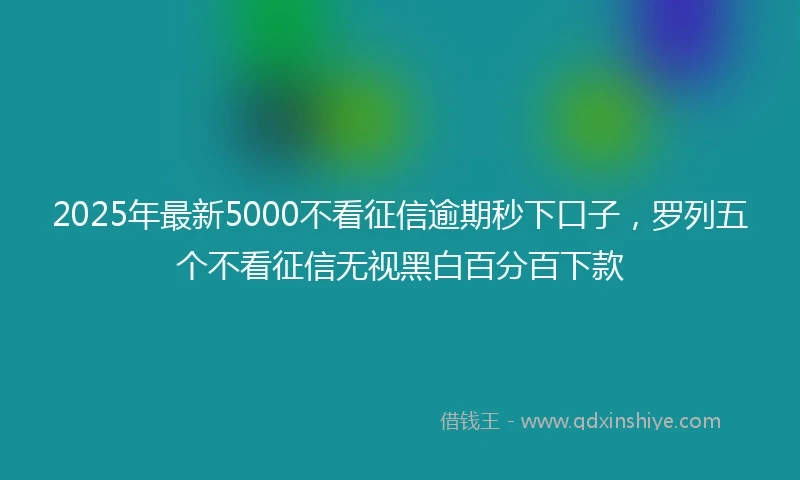 2025年最新5000不看征信逾期秒下口子，罗列五个不看征信无视黑白百分百下款