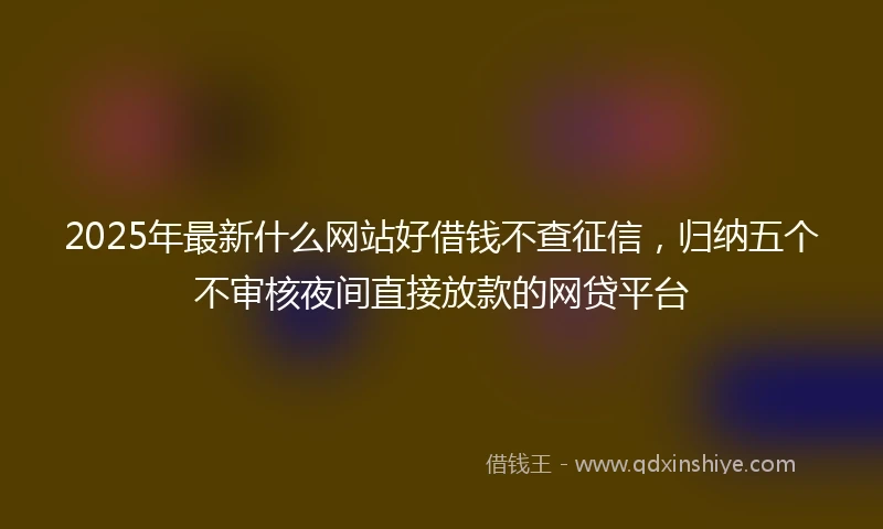 2025年最新什么网站好借钱不查征信，归纳五个不审核夜间直接放款的网贷平台