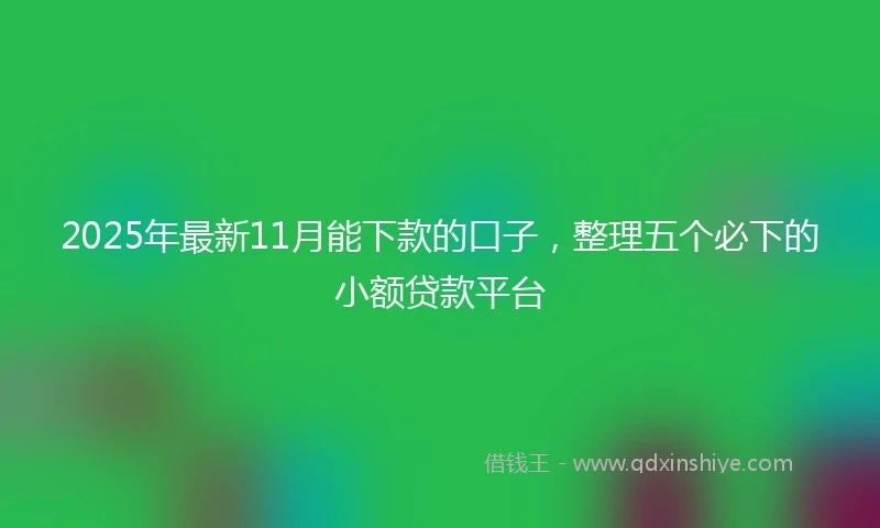 2025年最新11月能下款的口子，整理五个必下的小额贷款平台