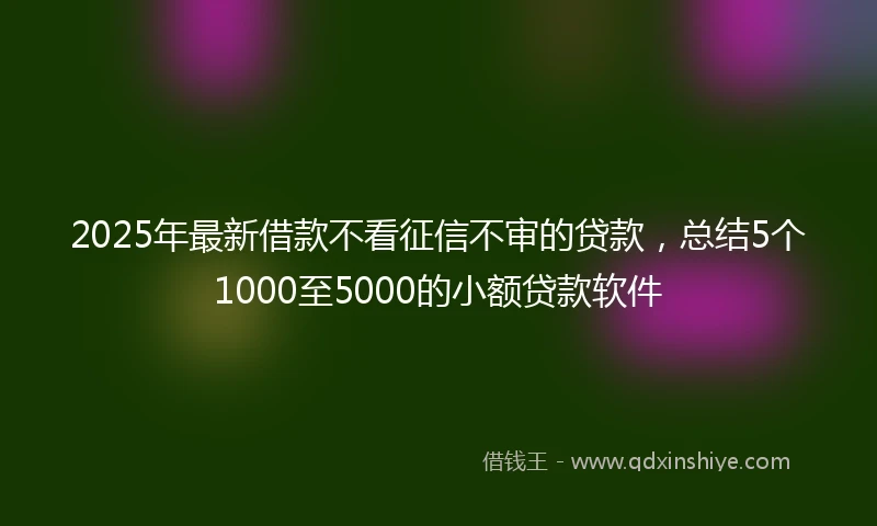 2025年最新借款不看征信不审的贷款，总结5个1000至5000的小额贷款软件