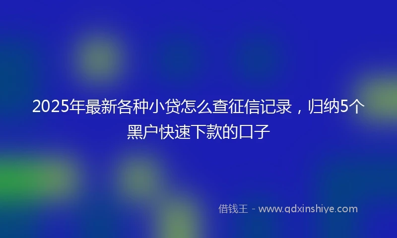 2025年最新各种小贷怎么查征信记录，归纳5个黑户快速下款的口子