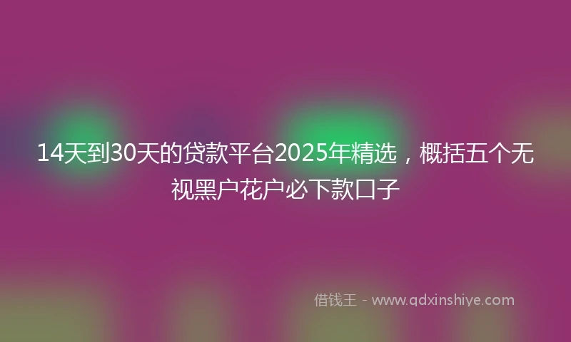 14天到30天的贷款平台2025年精选，概括五个无视黑户花户必下款口子