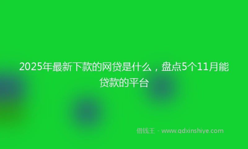 2025年最新下款的网贷是什么，盘点5个11月能贷款的平台