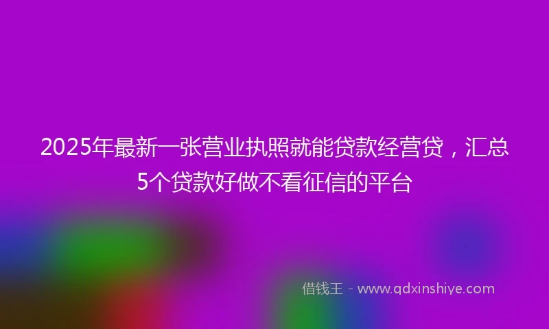 2025年最新一张营业执照就能贷款经营贷，汇总5个贷款好做不看征信的平台