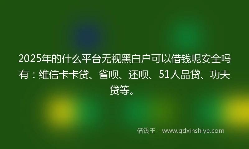 2025年的什么平台无视黑白户可以借钱呢安全吗有：维信卡卡贷、省呗、还呗、51人品贷、功夫贷等。