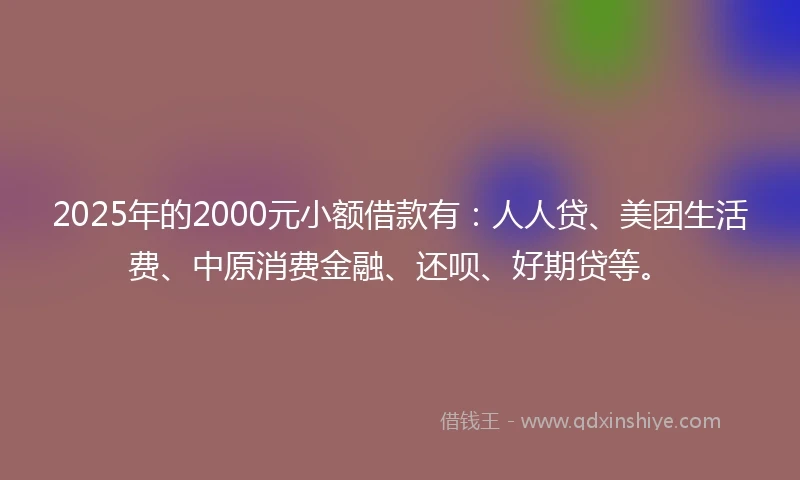 2025年的2000元小额借款有：人人贷、美团生活费、中原消费金融、还呗、好期贷等。