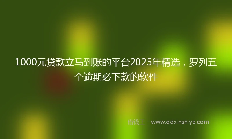 1000元贷款立马到账的平台2025年精选，罗列五个逾期必下款的软件