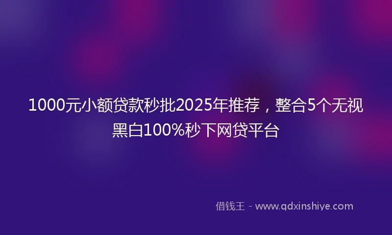 1000元小额贷款秒批2025年推荐，整合5个无视黑白100%秒下网贷平台