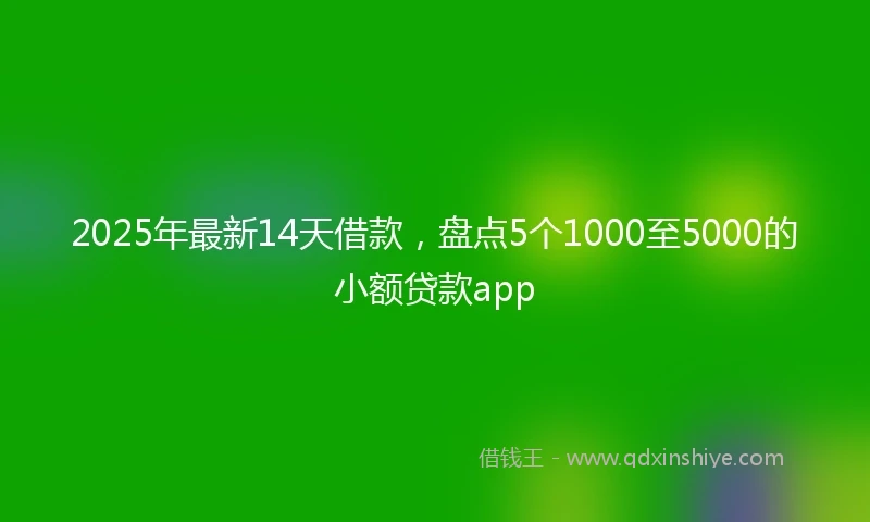 2025年最新14天借款，盘点5个1000至5000的小额贷款app