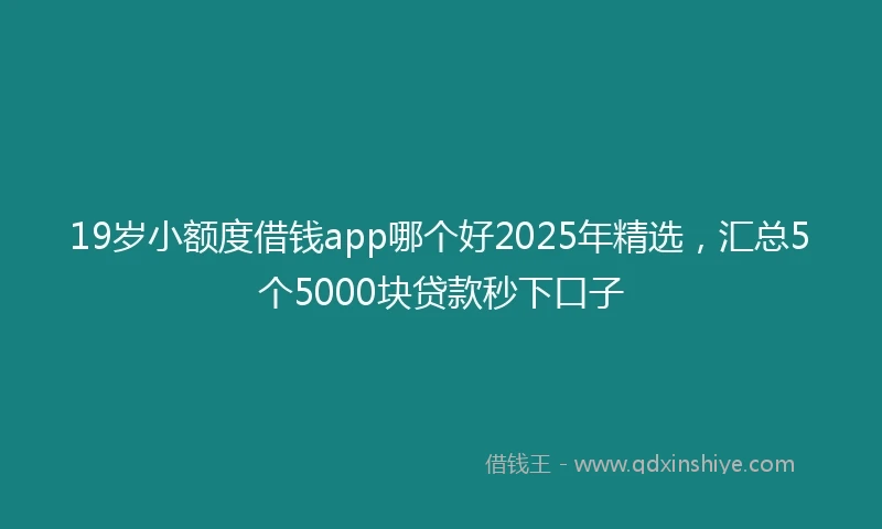 19岁小额度借钱app哪个好2025年精选，汇总5个5000块贷款秒下口子
