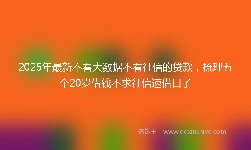 2025年最新不看大数据不看征信的贷款，梳理五个20岁借钱不求征信速借口子