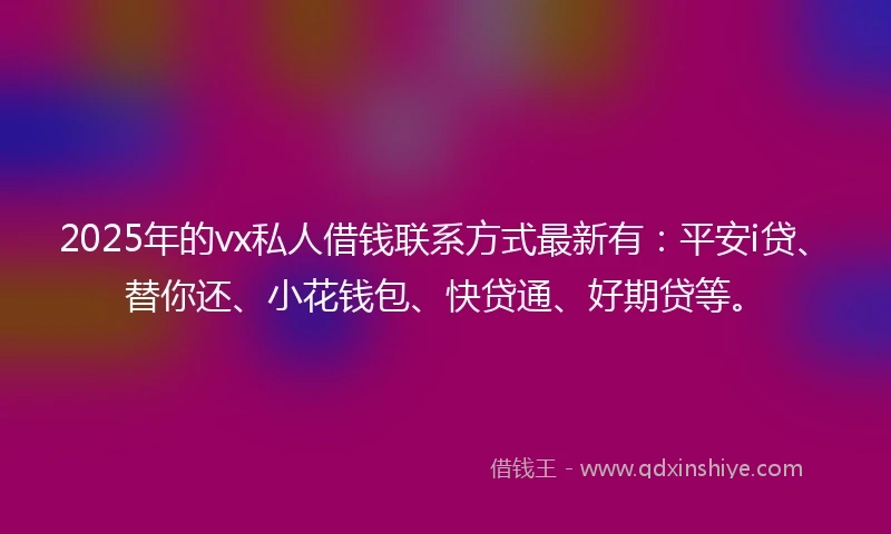 2025年的vx私人借钱联系方式最新有：平安i贷、替你还、小花钱包、快贷通、好期贷等。