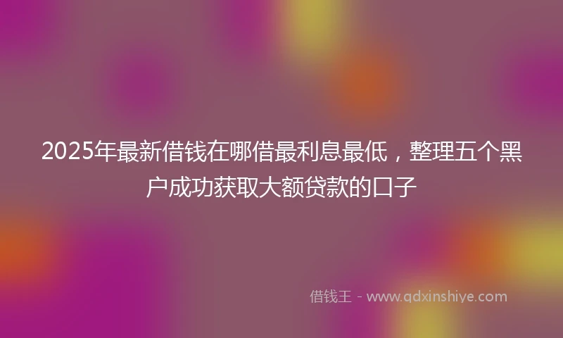2025年最新借钱在哪借最利息最低，整理五个黑户成功获取大额贷款的口子