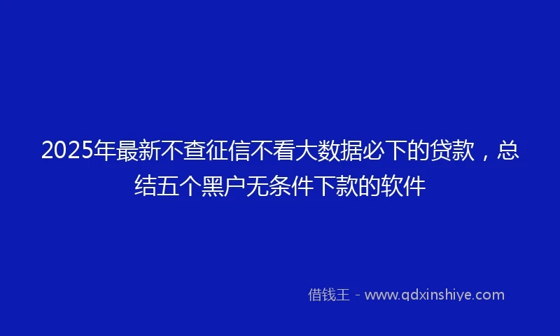 2025年最新不查征信不看大数据必下的贷款，总结五个黑户无条件下款的软件