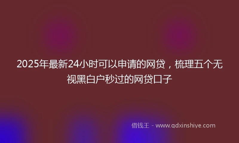 2025年最新24小时可以申请的网贷，梳理五个无视黑白户秒过的网贷口子