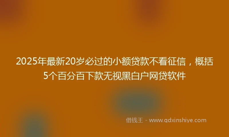 2025年最新20岁必过的小额贷款不看征信，概括5个百分百下款无视黑白户网贷软件