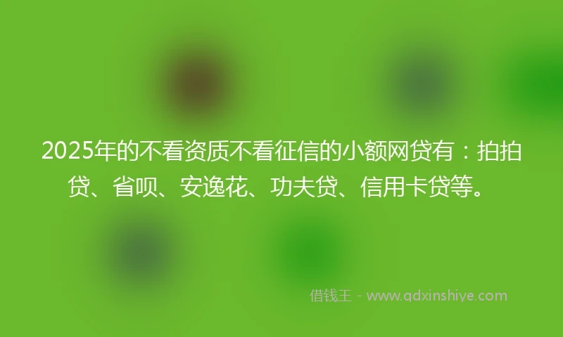 2025年的不看资质不看征信的小额网贷有：拍拍贷、省呗、安逸花、功夫贷、信用卡贷等。