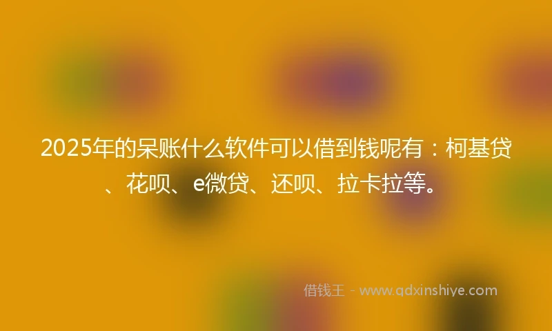 2025年的呆账什么软件可以借到钱呢有：柯基贷、花呗、e微贷、还呗、拉卡拉等。