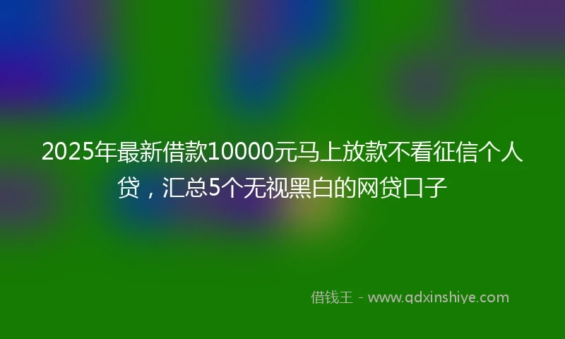 2025年最新借款10000元马上放款不看征信个人贷，汇总5个无视黑白的网贷口子