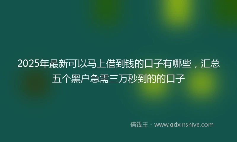 2025年最新可以马上借到钱的口子有哪些，汇总五个黑户急需三万秒到的的口子