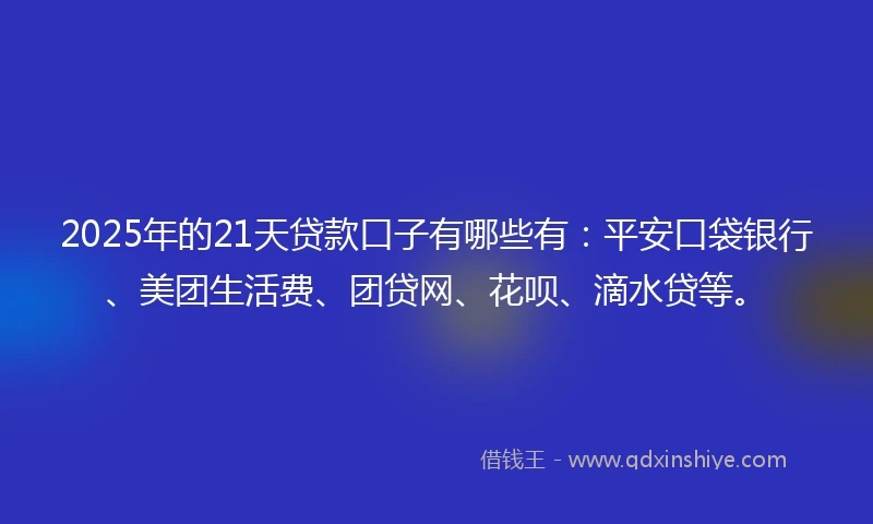 2025年的21天贷款口子有哪些有：平安口袋银行、美团生活费、团贷网、花呗、滴水贷等。