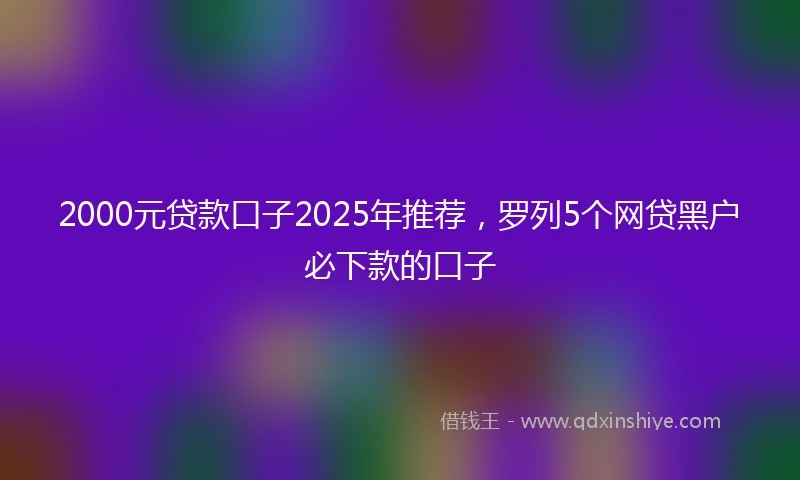 2000元贷款口子2025年推荐，罗列5个网贷黑户必下款的口子