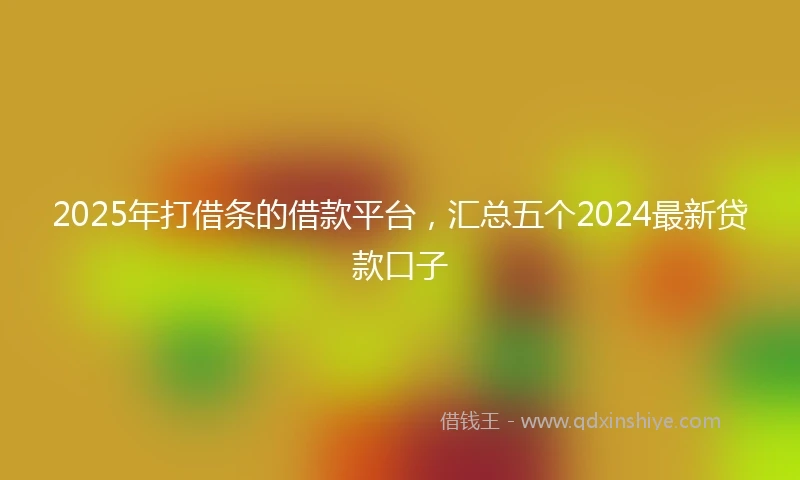 2025年打借条的借款平台，汇总五个2024最新贷款口子