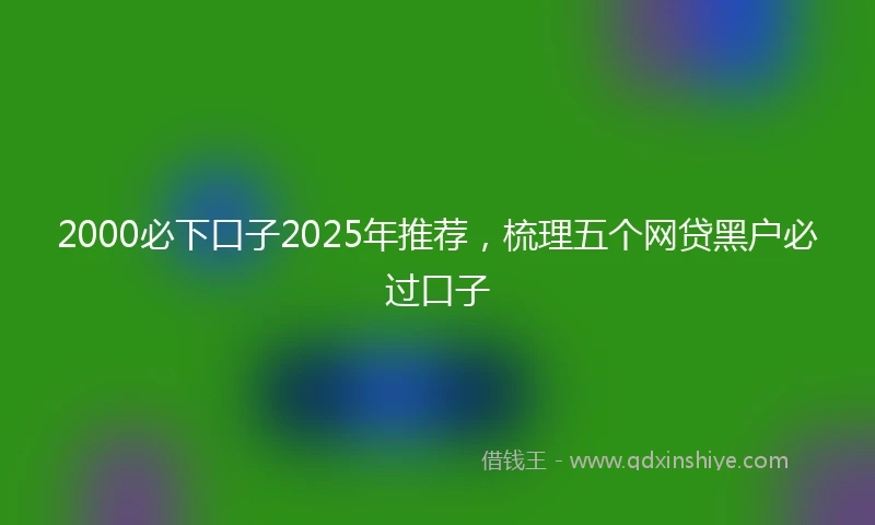 2000必下口子2025年推荐，梳理五个网贷黑户必过口子