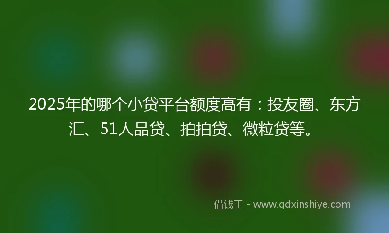 2025年的哪个小贷平台额度高有：投友圈、东方汇、51人品贷、拍拍贷、微粒贷等。