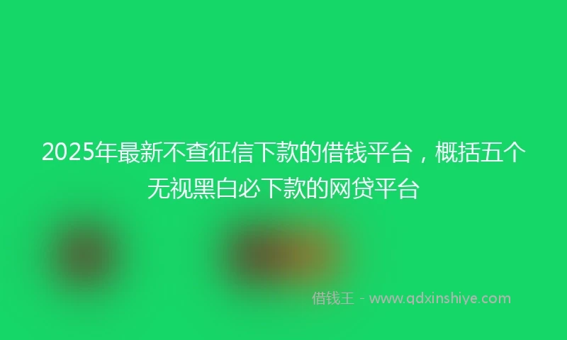 2025年最新不查征信下款的借钱平台，概括五个无视黑白必下款的网贷平台
