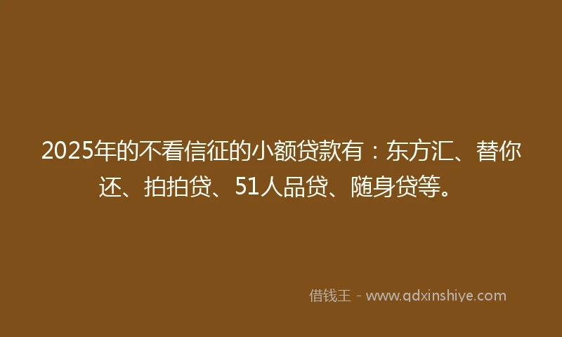 2025年的不看信征的小额贷款有：东方汇、替你还、拍拍贷、51人品贷、随身贷等。
